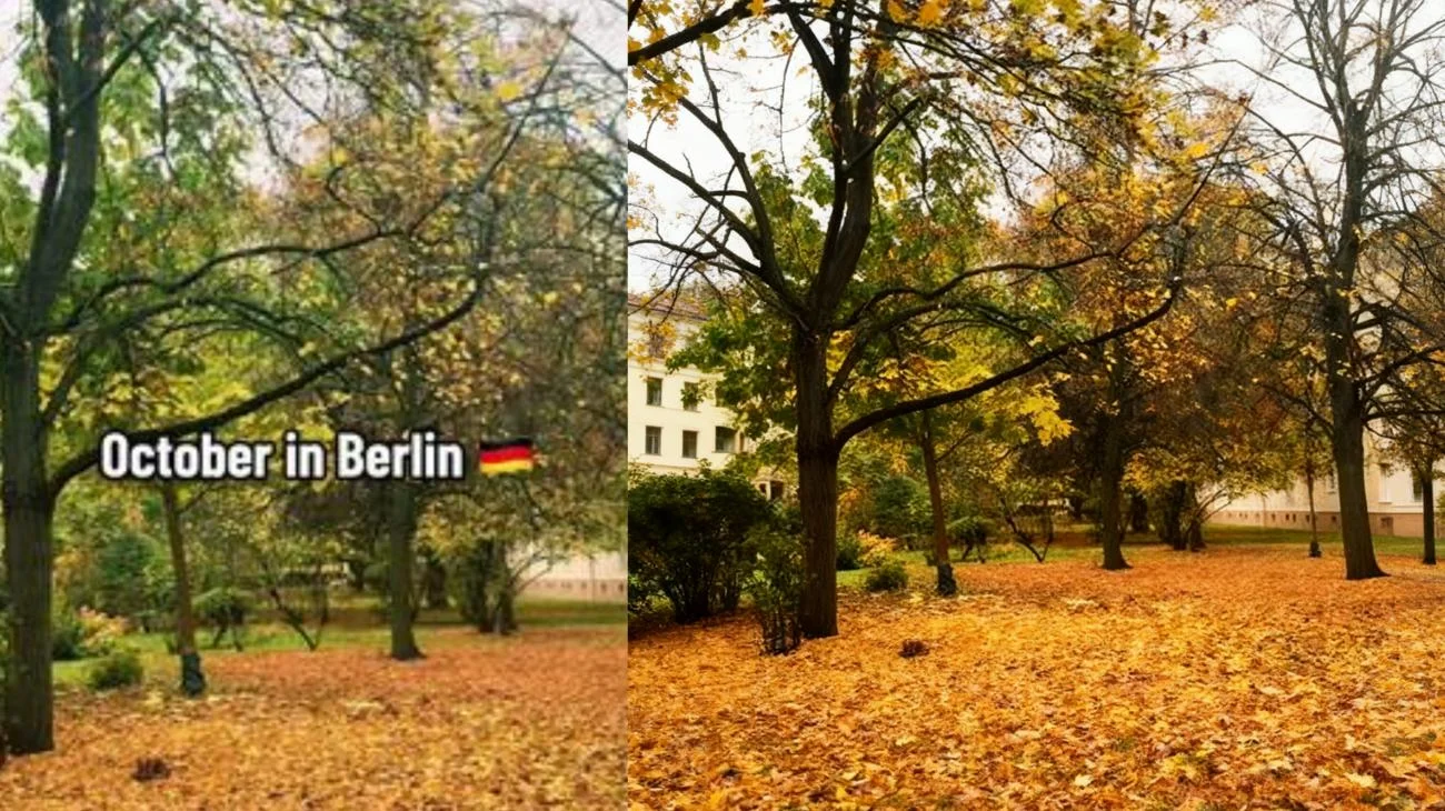 October in Berlin 🇩🇪 #berlin #germany #travel #october #autumn #trending #tiktokviral"
